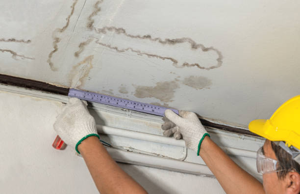 Reliable Flood Cleanup contractor in Empire, CO by Water Damage Irwin